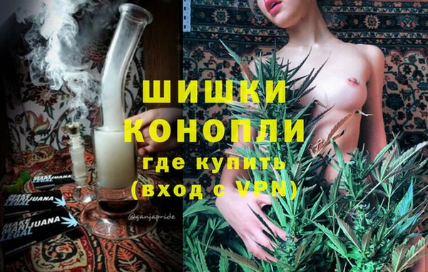 трава Гусев