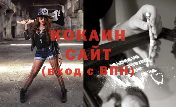 крисы Магас