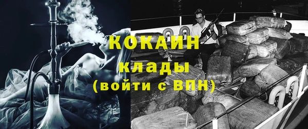 крисы Магас