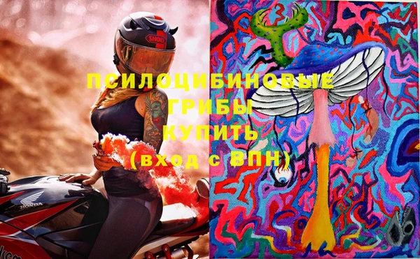 apvp Гусь-Хрустальный