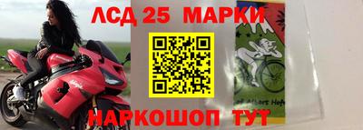 бошки Моздок